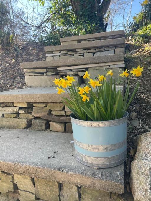 Cosy Rustic Annex In Quiet Cornwall Village Saint Wenn Esterno foto